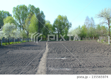 Vegetable garden before planting in spring in village Vegetable garden before planting in spring in village 135565974