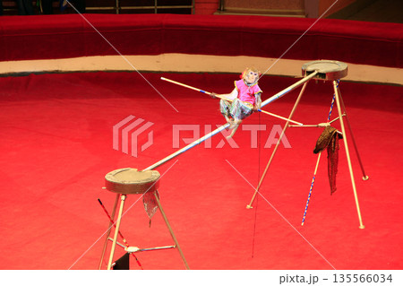 Trained monkey walking on rope with balance beam in Gomel circus Trained monkey walking on rope with balance beam in Gomel circus 135566034