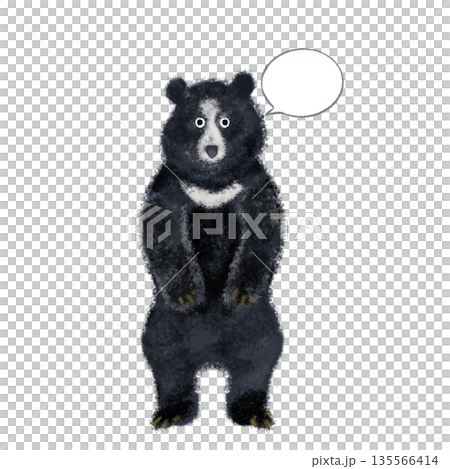 一隻黑熊的插圖，有一個小小的對話框——可愛的動物素材，適合用於簡短訊息。 135566414