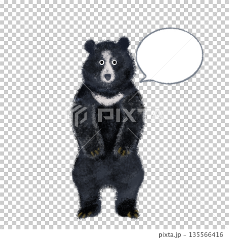 吹き出し付きのツキノワグマのイラスト 横向きメッセージスペース 説明・注意表示向け 吹き出し付きのツキノワグマのイラスト 横向きメッセージスペース 説明・注意表示向け 135566416