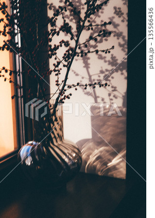 Minimalist interior still life featuring a transparent glass vase with red berry branches placed on a windowsill. Warm natural sunlight creates an elegant play of shadows and light play on the wall. 135566436