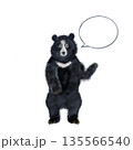 横向きの吹き出しで案内するツキノワグマのイラスト　説明やメッセージに使える素材 135566540