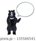 ツキノワグマ,熊,くま,クマ,野生動物,動物,イラスト,手描き,水彩風,やさしい,かわいい,絵本風, 135566541