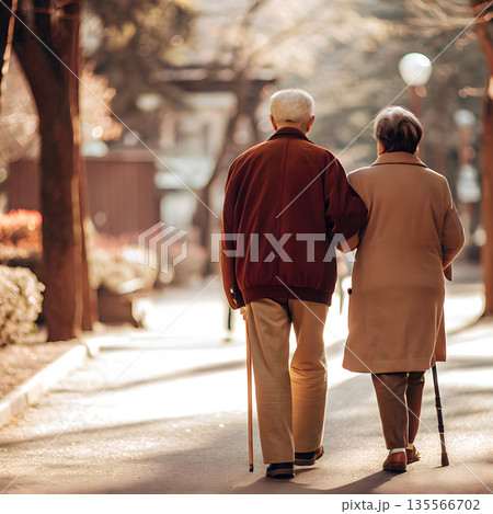 Back View of Senior Couple Walking with Cane in Sunny Park Back View of Senior Couple Walking with Cane in Sunny Park 135566702