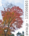 常照寺の紅葉 常照寺の紅葉 135566803
