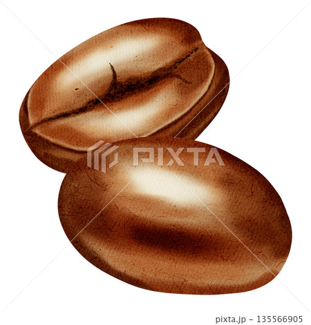 Watercolor illustration of coffee beans. Coffee bean set. A set of watercolor illustrations for coffee shops, cafes, packaging, menus, and product design. Watercolor illustration of coffee beans. Coffee bean set. A set of watercolor illustrations for coffee shops, cafes, packaging, menus, and product design. 135566905