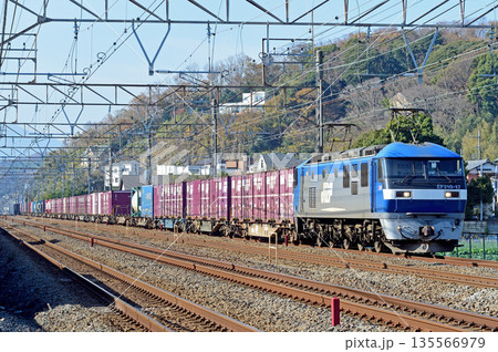 東海道本線 二宮-大磯 JR貨物 EF210-171(新鶴見) 東海道本線 二宮-大磯 JR貨物 EF210-171(新鶴見) 135566979