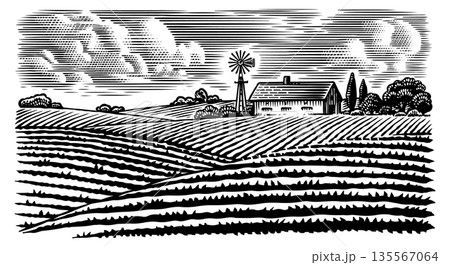 Rustic meadow hand drawn village landscape illustrations with fields, house and windmill. Beautiful 135567064
