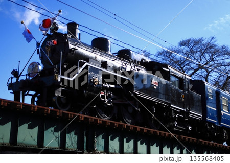 正月の特別装飾を纏い車体を輝かせながら鉄橋を渡る大井川鉄道C10-8号機_2026/1/3撮影 正月の特別装飾を纏い車体を輝かせながら鉄橋を渡る大井川鉄道C10-8号機_2026/1/3撮影 135568405