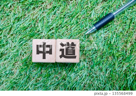 政治的中道を示す芝生上の木製ブロックイメージ。 135568499