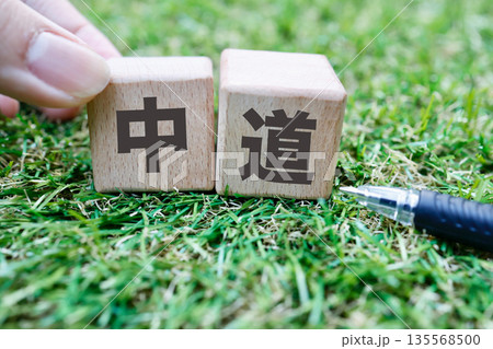 政治的中道を示す芝生上の木製ブロックイメージ。 政治的中道を示す芝生上の木製ブロックイメージ。 135568500