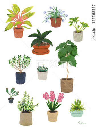 手書き風の観葉植物と鉢植えのイラストセット 135568557