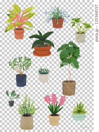 Hand-drawn houseplant and potted plant illustration set Hand-drawn houseplant and potted plant illustration set 135568557