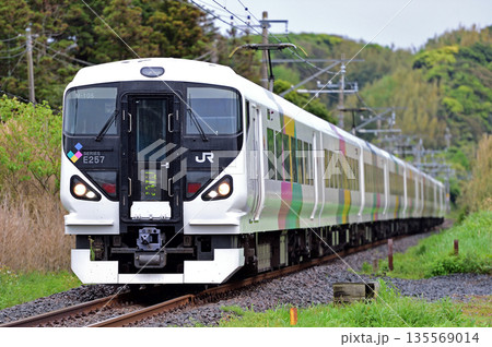 内房線　那古船形ー富浦　JR東日本　E257系　M-105編成（松本）　臨時 135569014