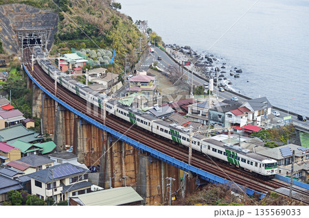 東海道本線　早川－根府川　JR東日本　185系　A3編成（大宮）　踊り子 135569033