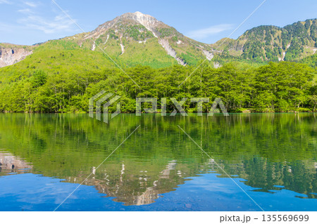 日本屈指の山岳リゾート 新緑の上高地 大正池と焼岳 日本屈指の山岳リゾート 新緑の上高地 大正池と焼岳 135569699