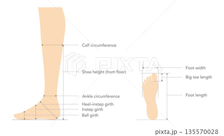 Shoe sizing measurement guide flat. Calf circumference, ankle ball girth for apparel industry design catalog footwear 135570028