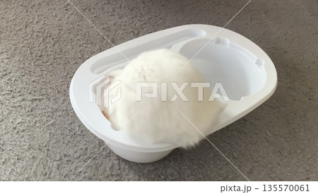 雪見だいふく、雪見だいふくハムスター、雪見ハムスター 雪見だいふく、雪見だいふくハムスター、雪見ハムスター 135570061