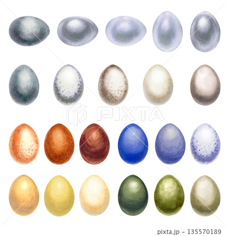 Colorful watercolor Easter eggs. Large set of monochrome hand-drawn illustrations in a realistic style on a white background for Easter promotional materials, invitations, cards, labels, and menus 135570189