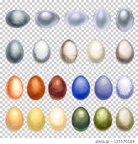Colorful watercolor Easter eggs. Large set of monochrome hand-drawn illustrations in a realistic style on a white background for Easter promotional materials, invitations, cards, labels, and menus 135570189