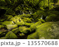 苔に覆われた岩と小さな滝のある渓流 135570688