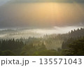 朝霧に包まれた山林と柔らかな光 135571043