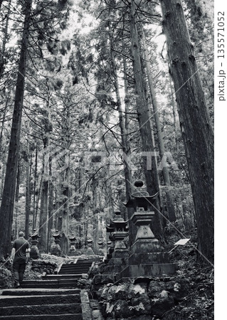 神々の杜へ続く石段 ー 上色見熊野座神社の参道にて_まるで異界への入り口のような荘厳な空気 神々の杜へ続く石段 ー 上色見熊野座神社の参道にて_まるで異界への入り口のような荘厳な空気 135571052