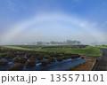 朝霧の農地に現れた淡い虹 135571101