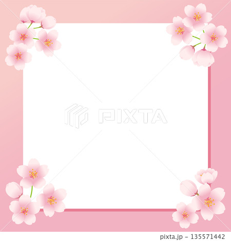 桜の花がデコレーションされた正方形の白いボードのイラスト素材。 桜の花がデコレーションされた正方形の白いボードのイラスト素材。 135571442
