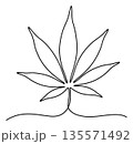 Continuous line art illustration of a cannabis leaf depicting a simple botanical outline for wellness and branding 135571492