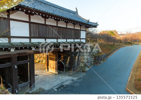 《商用撮影許可取得済》早朝の追手門 135571525