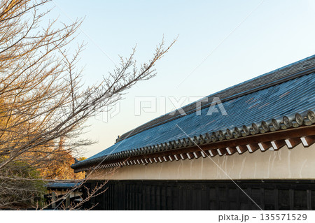 《商用撮影許可取得済》朝の東多聞櫓 135571529