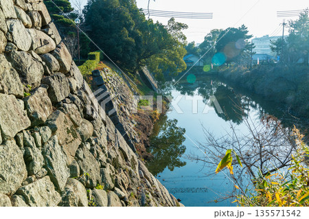 竹林橋跡から東側の内堀を望む風景 竹林橋跡から東側の内堀を望む風景 135571542