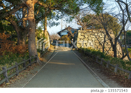 竹林橋跡 135571543