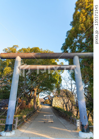 柳澤神社の鳥居と竹林橋跡 135571545
