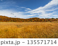 草紅葉の秋のイワカガミ湿原の風景（秋田県） 135571714