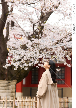 花見をする若いアジアの女性のポートレート 135571724