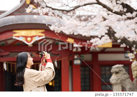 花見をする若いアジアの女性のポートレート 135571747