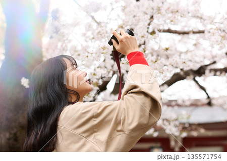花見をする若いアジアの女性のポートレート 花見をする若いアジアの女性のポートレート 135571754
