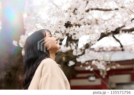 花見をする若いアジアの女性のポートレート 花見をする若いアジアの女性のポートレート 135571756