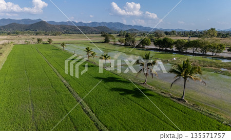 Aerial view of agriculture field in Pa Daet district one of the southern part of Chiang Rai province of Thailand. 135571757