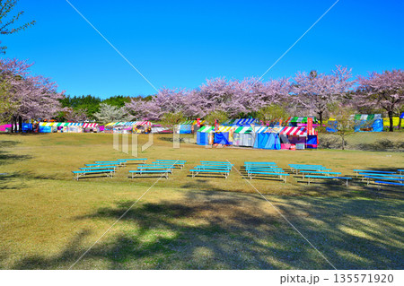赤城南面 千本桜 イベント広場 赤城南面 千本桜 イベント広場 135571920