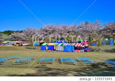 赤城南面 千本桜 イベント広場 赤城南面 千本桜 イベント広場 135571943