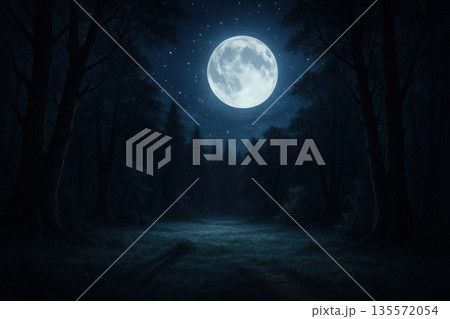 Night scene featuring a full moon illuminating a dark forest with tall trees and a clear sky filled with stars 135572054