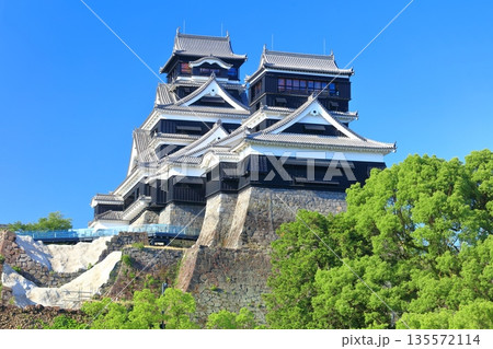 【熊本県】快晴の熊本城（大天守と小天守） 135572114