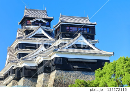【熊本県】快晴の熊本城（大天守と小天守） 135572116
