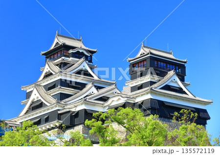 【熊本県】快晴の熊本城（大天守と小天守） 135572119