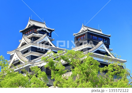 【熊本県】快晴の熊本城（大天守と小天守） 135572122