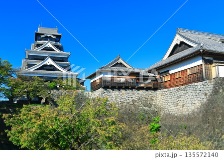 【熊本県】快晴の熊本城天守閣 【熊本県】快晴の熊本城天守閣 135572140