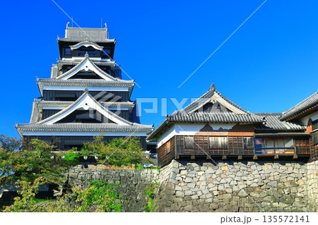 【熊本県】快晴の熊本城天守閣 【熊本県】快晴の熊本城天守閣 135572141